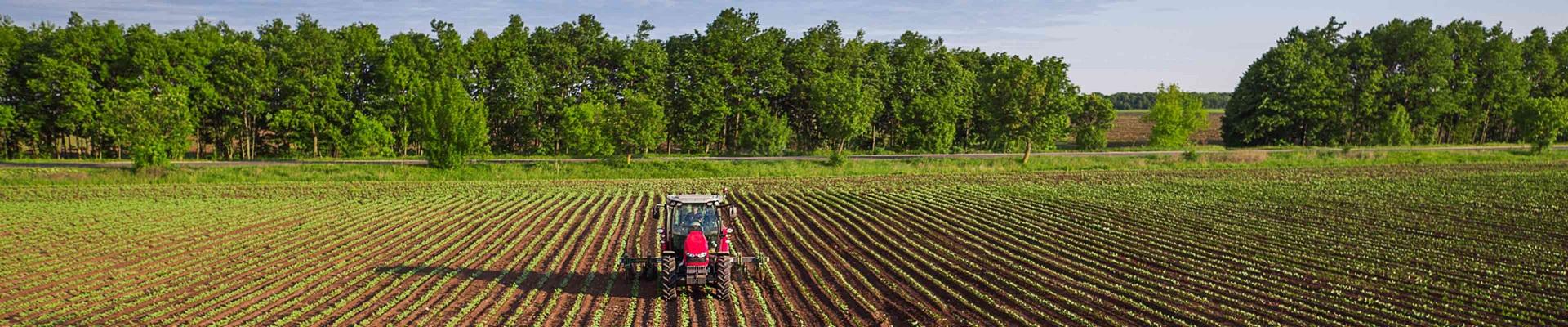 a tractor in a field